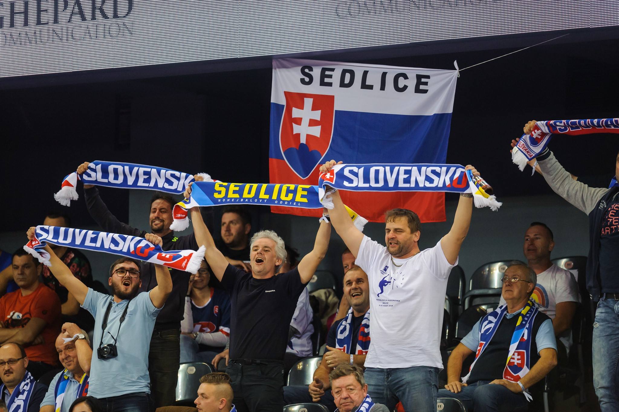 Slovakia Fans